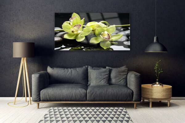 Obraz Szklany Kwiat Orchidea Roślina