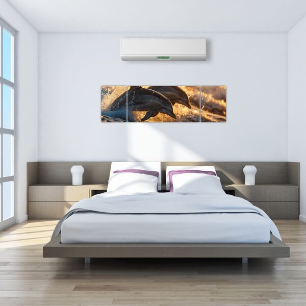 Obraz - Delfiny (170x50 cm)