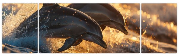 Obraz - Delfiny (170x50 cm)