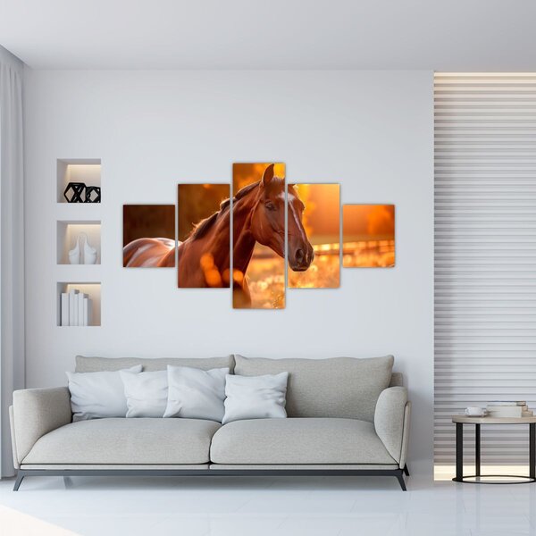 Obraz - Koń o zachodzie słońca (125x70 cm)