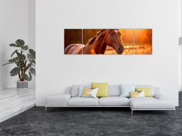 Obraz - Koń o zachodzie słońca (170x50 cm)