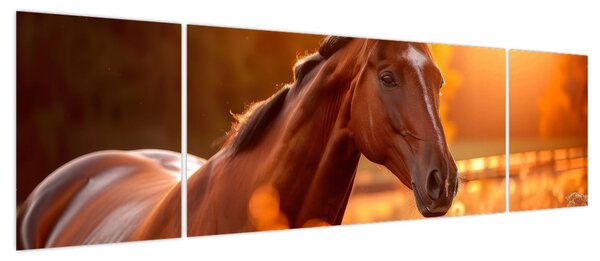 Obraz - Koń o zachodzie słońca (170x50 cm)