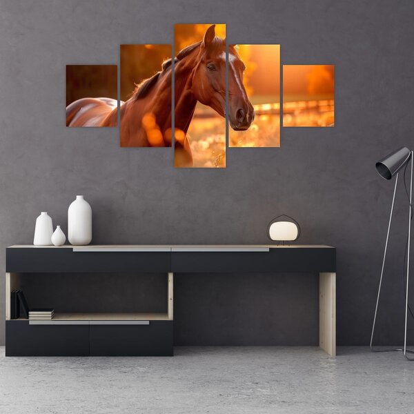 Obraz - Koń o zachodzie słońca (125x70 cm)