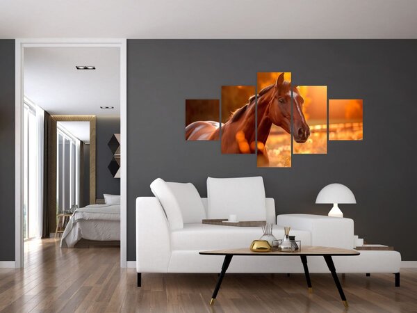 Obraz - Koń o zachodzie słońca (125x70 cm)