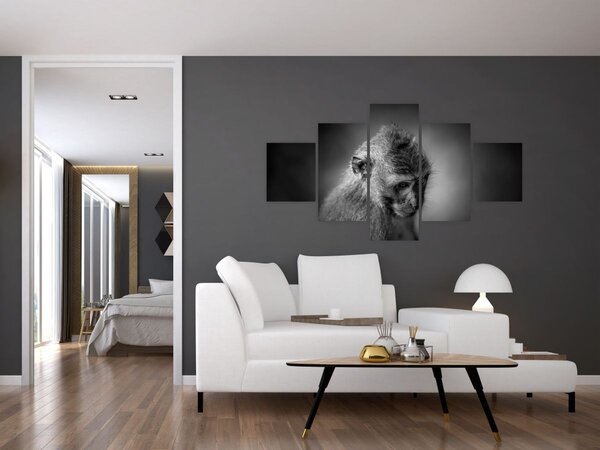 Obraz - Małpa (125x70 cm)