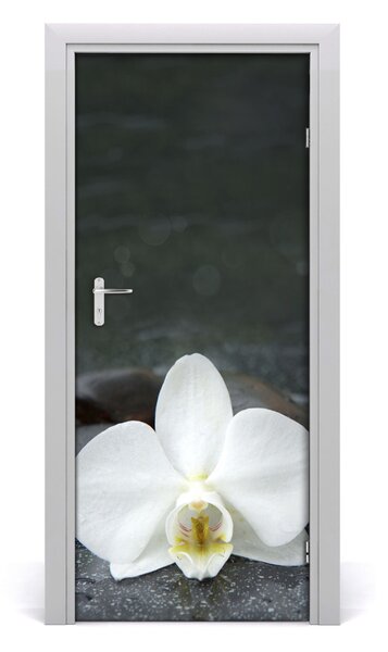 Nalepka Naklejka fototapeta na drzwi Orchidea
