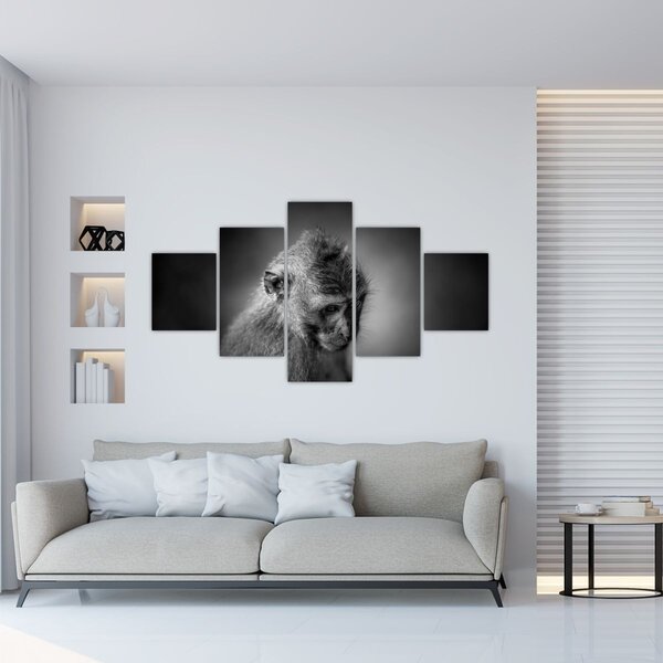 Obraz - Małpa (125x70 cm)