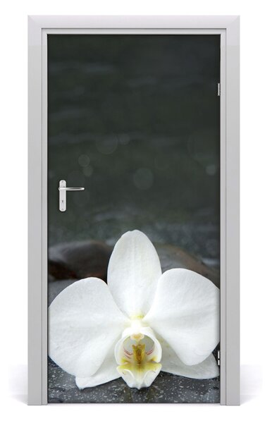 Nalepka Naklejka fototapeta na drzwi Orchidea