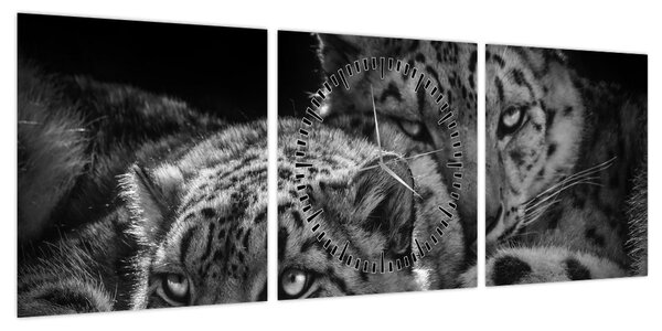 Obraz - Odpoczywające gepardy (z zegarem) (90x30 cm)
