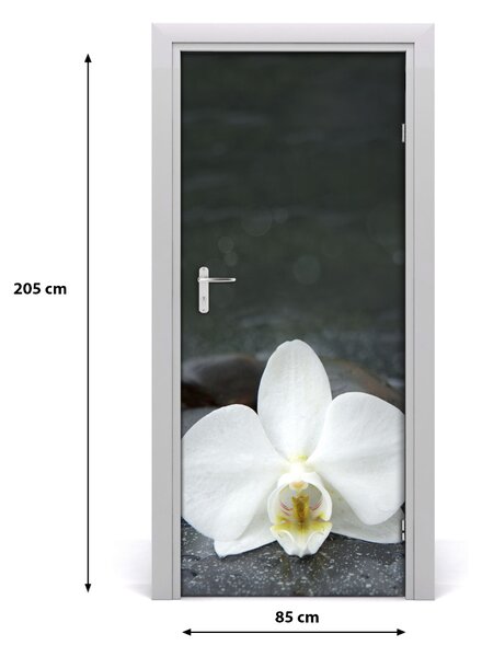 Nalepka Naklejka fototapeta na drzwi Orchidea