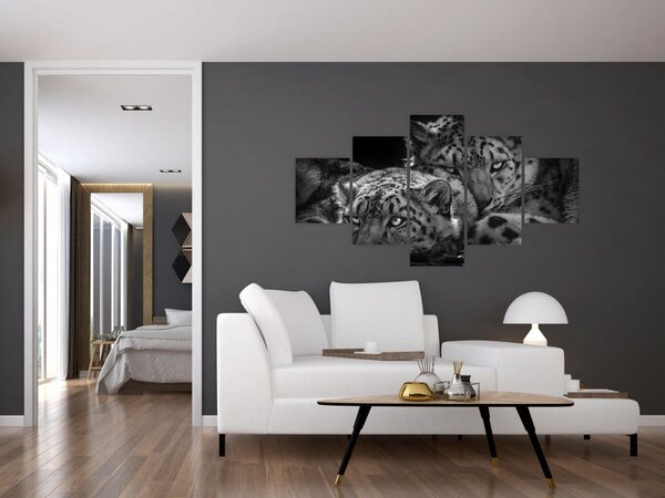 Obraz - Odpoczywające gepardy (125x70 cm)
