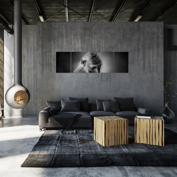 Obraz - Małpa (170x50 cm)