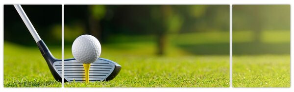 Obraz - Golf (170x50 cm)