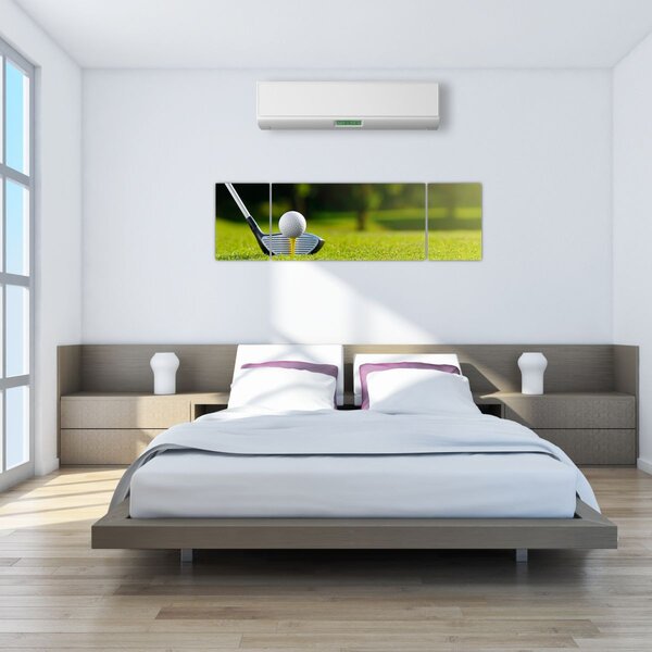 Obraz - Golf (170x50 cm)