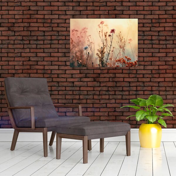 Obraz - Dzikie kwiaty (70x50 cm)