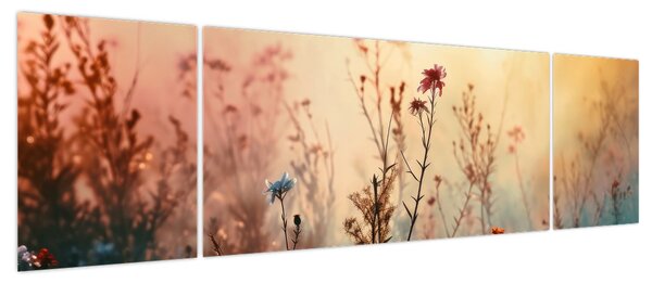 Obraz - Dzikie kwiaty (170x50 cm)