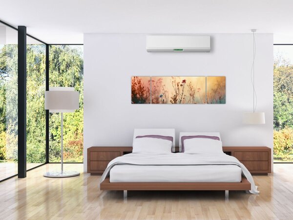 Obraz - Dzikie kwiaty (170x50 cm)