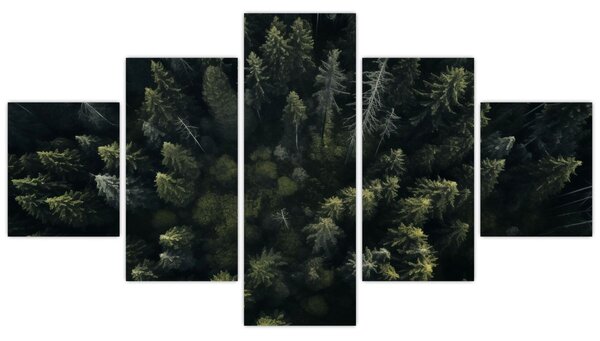 Obraz - Las (125x70 cm)