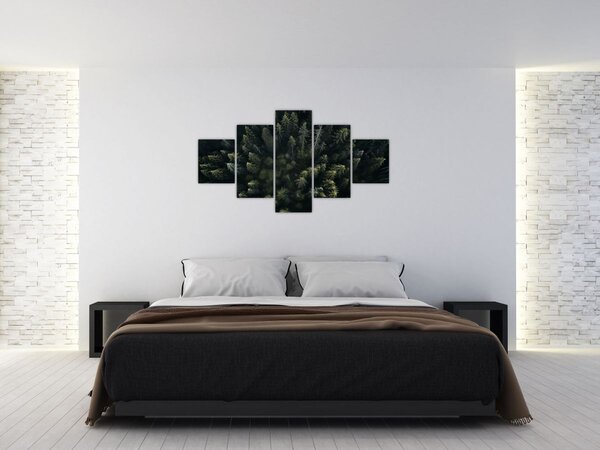 Obraz - Las (125x70 cm)