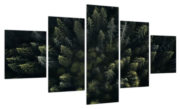 Obraz - Las (125x70 cm)