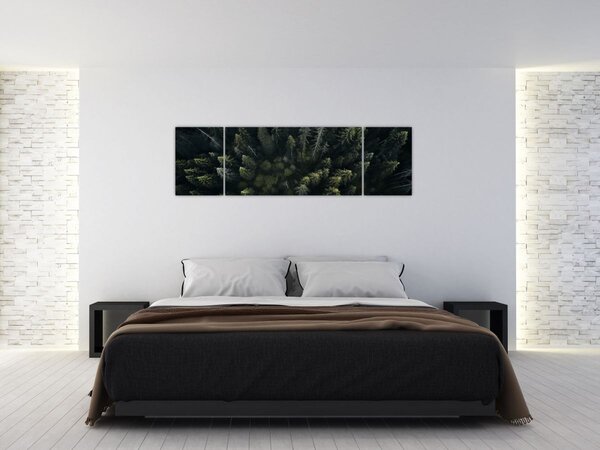 Obraz - Las (170x50 cm)