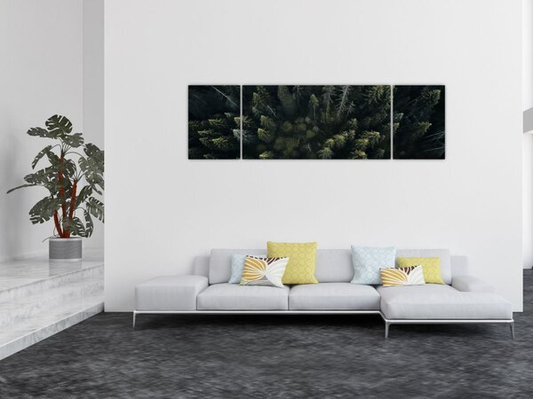 Obraz - Las (170x50 cm)