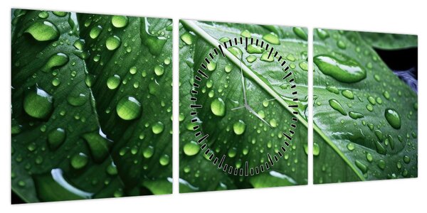 Obraz - Szczegół liścia po deszczu (z zegarem) (90x30 cm)