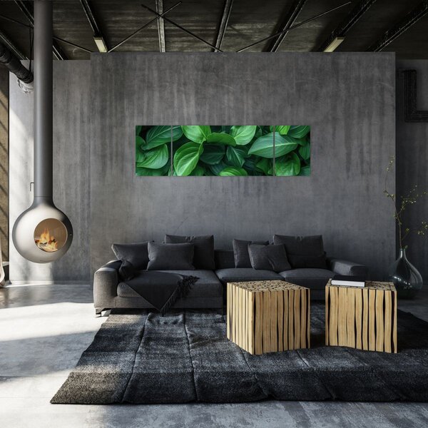 Obraz - Zielone liście (170x50 cm)