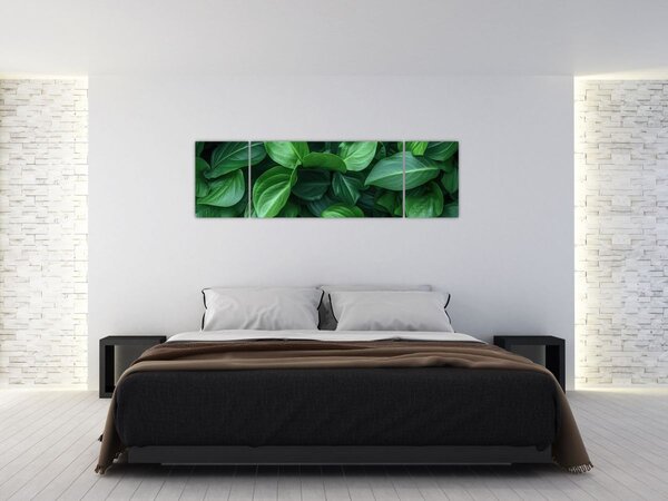 Obraz - Zielone liście (170x50 cm)
