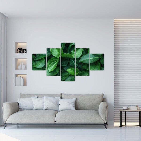 Obraz - Zielone liście (125x70 cm)