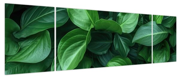 Obraz - Zielone liście (170x50 cm)