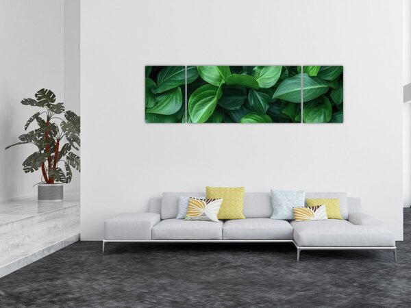Obraz - Zielone liście (170x50 cm)