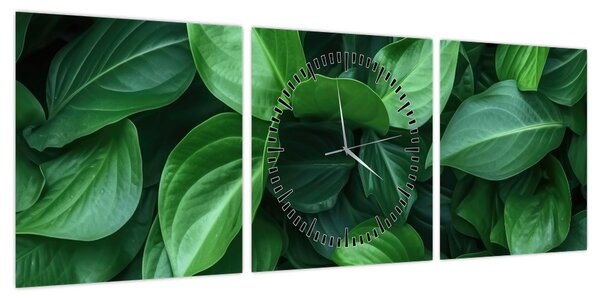 Obraz - Zielone liście (z zegarem) (90x30 cm)