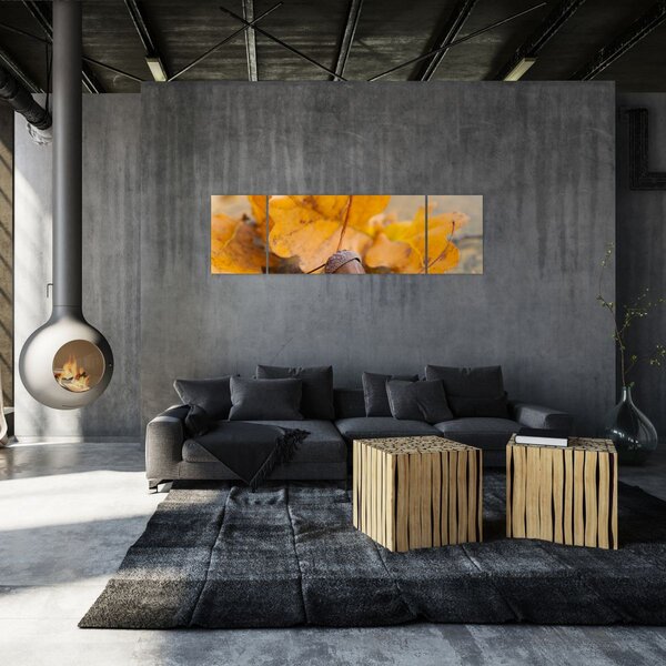 Obraz - Jesienne żołędzie (170x50 cm)