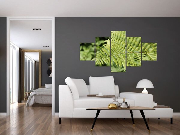 Obraz - Liść paproci (125x70 cm)