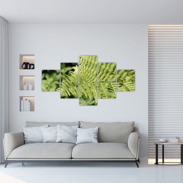 Obraz - Liść paproci (125x70 cm)