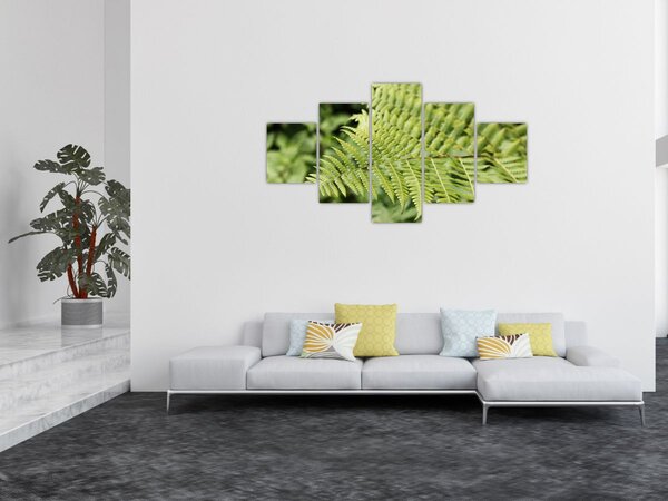 Obraz - Liść paproci (125x70 cm)