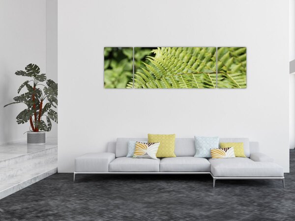 Obraz - Liść paproci (170x50 cm)
