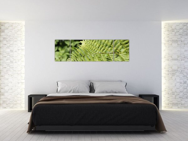 Obraz - Liść paproci (170x50 cm)