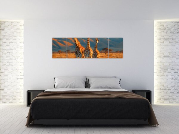 Obraz - Żyrafy na pastwisku (170x50 cm)