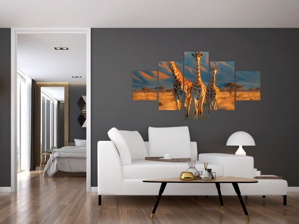 Obraz - Żyrafy na pastwisku (125x70 cm)
