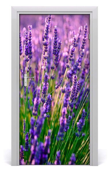 Nalepka Naklejka fototapeta na drzwi Pole lawendy