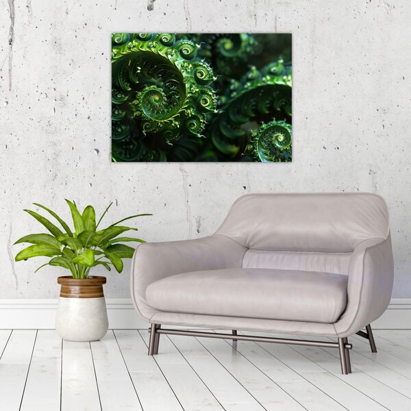 Obraz - Spirale (70x50 cm)