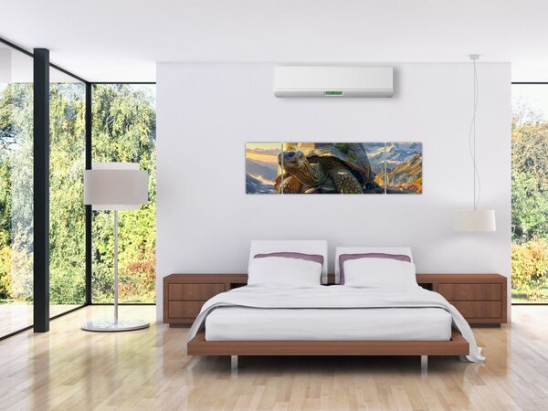 Obraz - Żółw i górski krajobraz (170x50 cm)