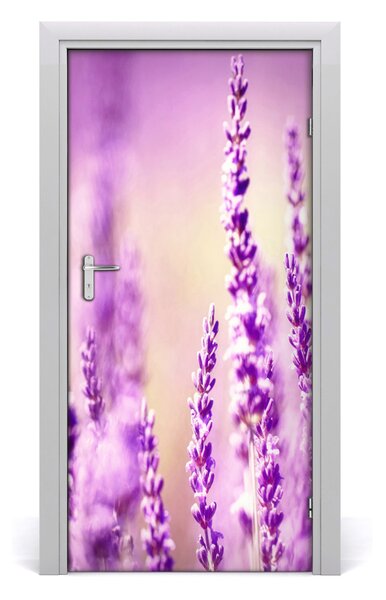 Fototapeta samoprzylepna na drzwi Lawenda