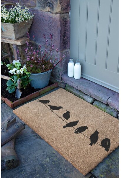 Wycieraczka z włókna kokosowego 40x60 cm Birds On a Wire – Artsy Doormats