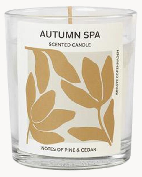 Świeca zapachowa Autumn Spa (sosna & cedr)