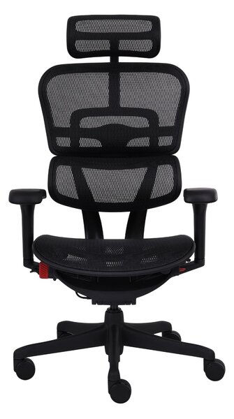 Fotel gamingowy Ergohuman 2 Ultra Black Badge