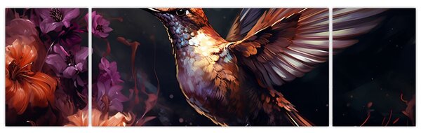 Obraz - Koliber (170x50 cm)