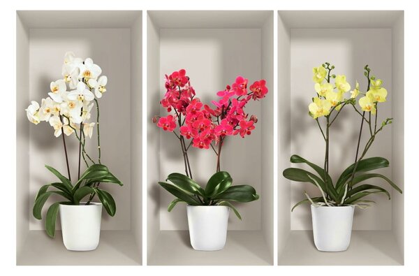 Komplet 3 naklejek ściennych 3D Ambiance Orchids